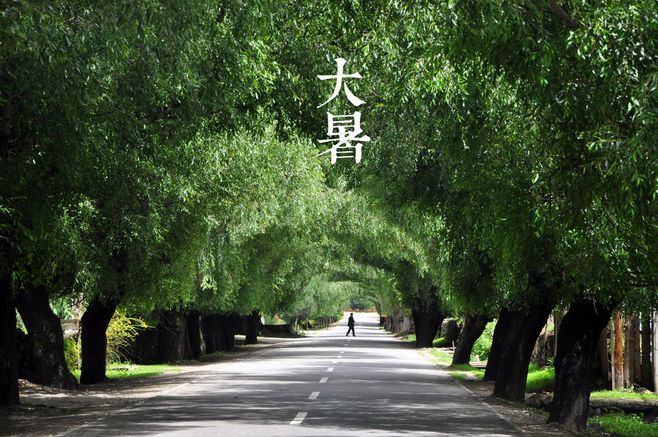 大暑丨葡園消煩暑，夢(mèng)涼天地寬