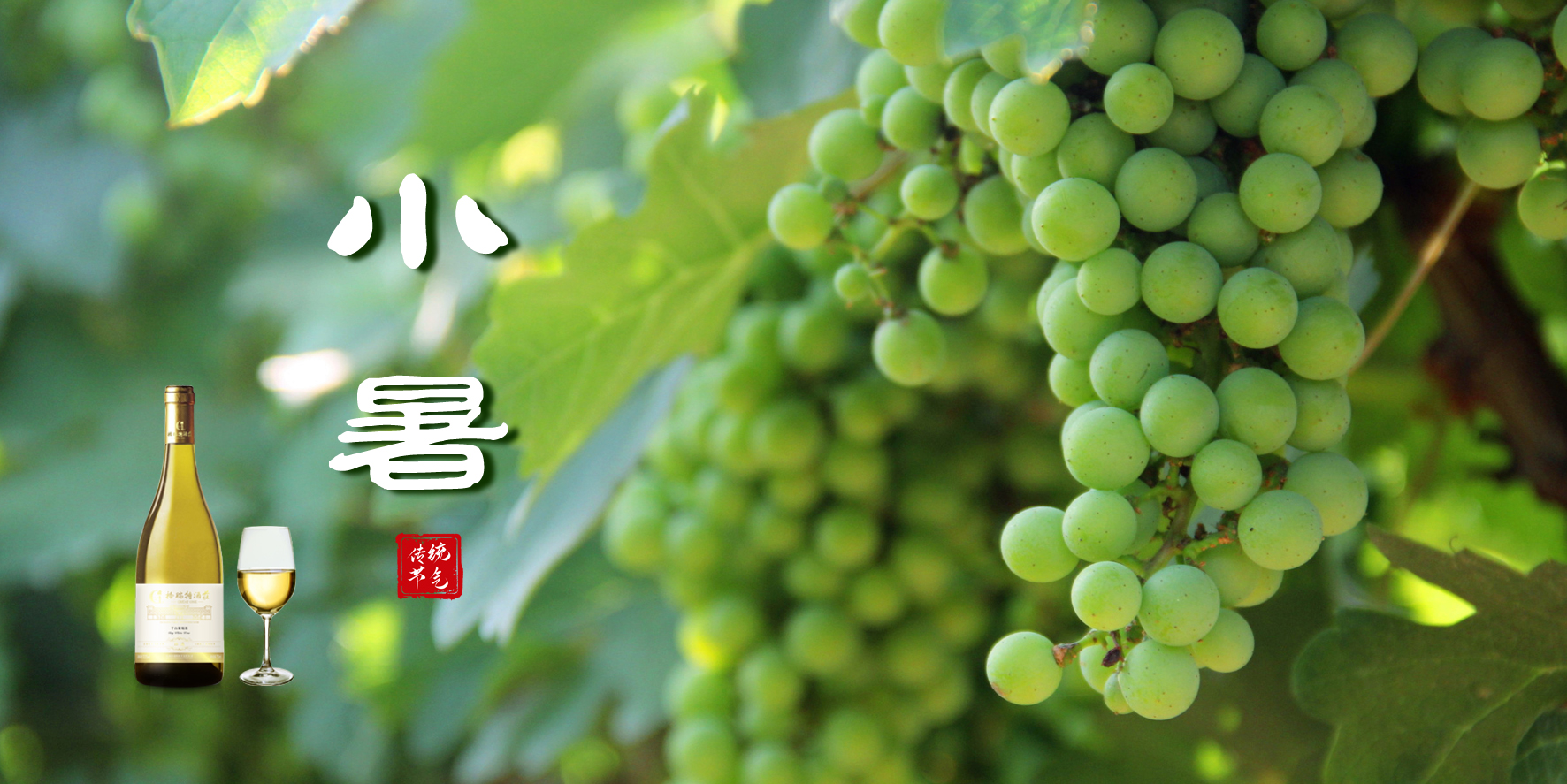 小暑，消暑，你選哪一個(gè)？